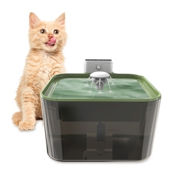 3,5 л фонтан для воды для кошек, интеллектуальные настройки времени обнаружения, фонтан для домашних животных, супер бесшумный диспенсер для воды для собак, для нескольких домашних животных