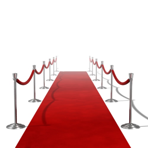 Red Carpet 1 х 5 м